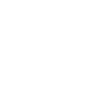 steinfix edge profile forte icon very strong loadable