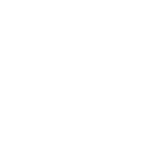 Steinfix net icon